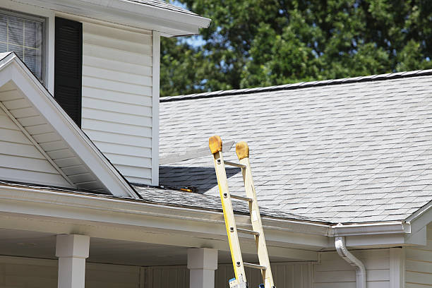 Affordable Siding Repair and Maintenance Services in Horicon, WI